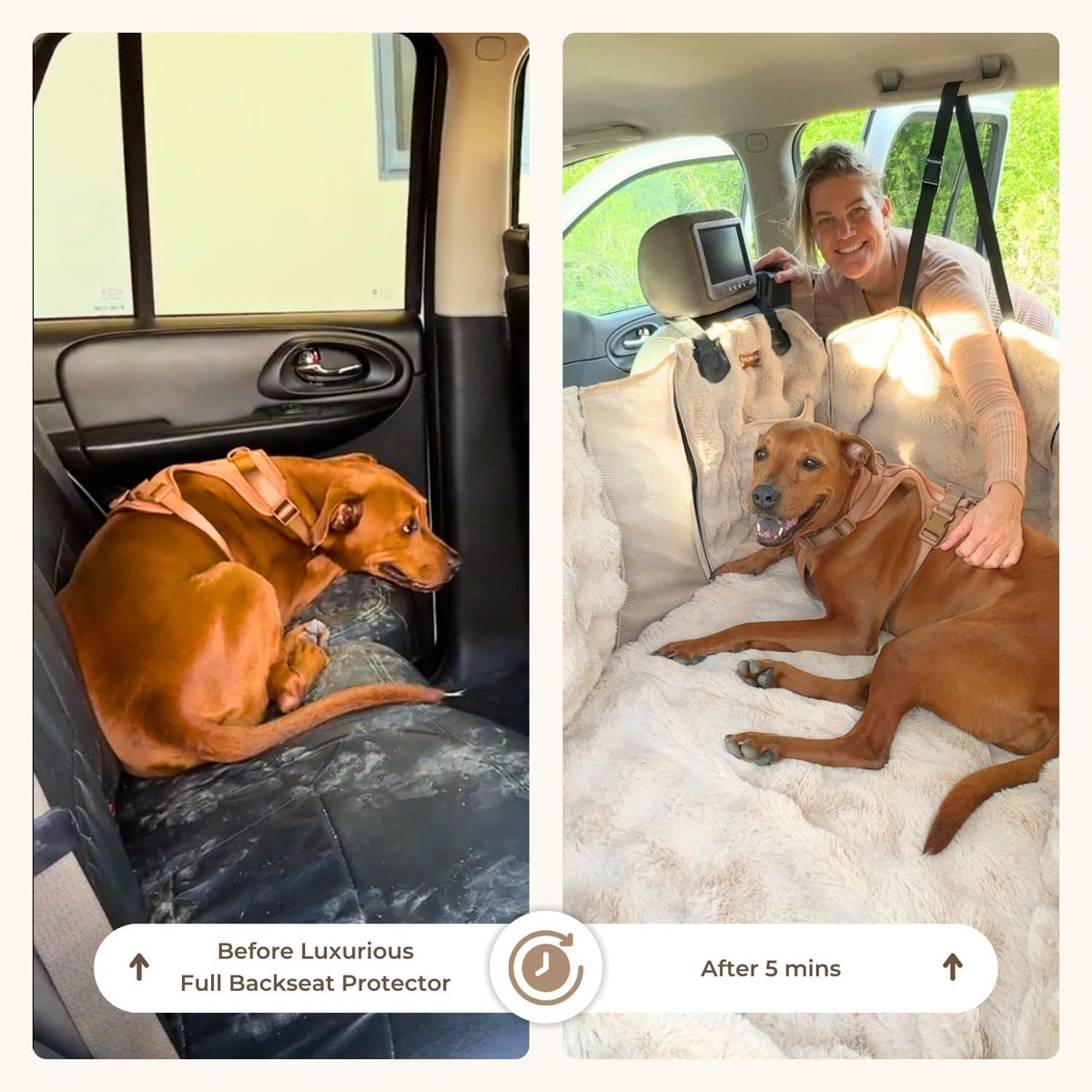 Pelsbarn Waterproof Dog Backseat Protector with Calming Blanket